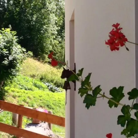 Limondin Chalet Mizoen